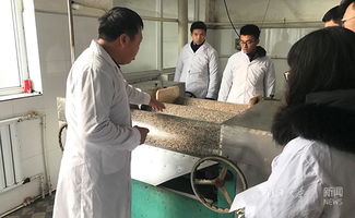 返乡创业、贡献家乡 小食品生产线塑造社会责任感的实践与思考