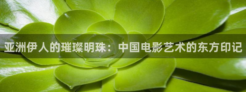 九七影院97影院理论片免费：亚洲伊人的璀璨明珠：中国电影艺术的东方印记