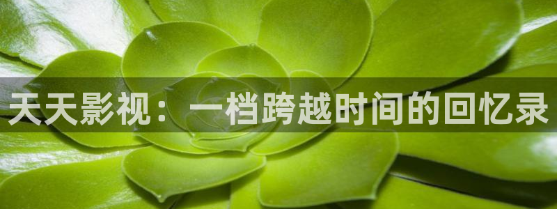 秋霞理论电影片：天天影视：一档跨越时间的回忆录