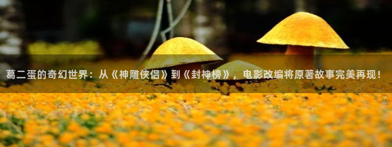 可以看理论片的网站：葛二蛋的奇幻世界：从《神雕侠侣》到《封神榜》，电影改编将原著故事完美再现！