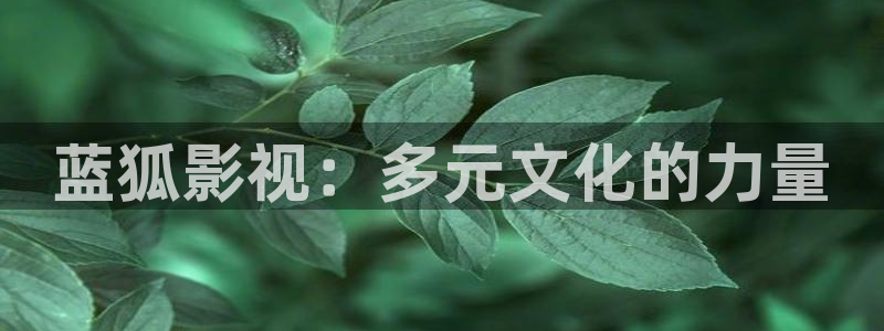 韩国三级理论电影在线播放：蓝狐影视：多元文化的力量