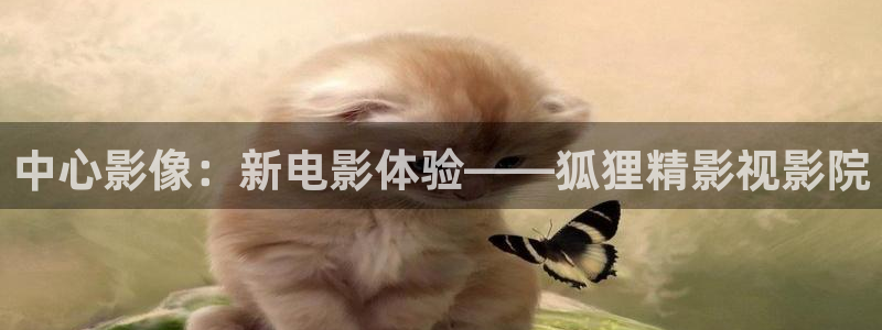 韩国理论电影善良的女秘书：中心影像：新电影体验——狐狸精影视影院