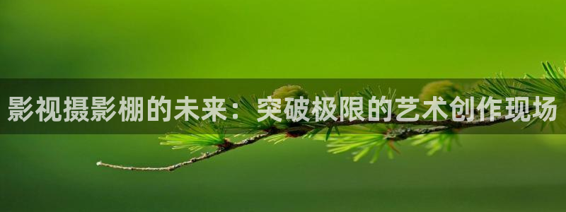 日韩理论电影免费在线观看：影视摄影棚的未来：突破极限的艺术创作现场
