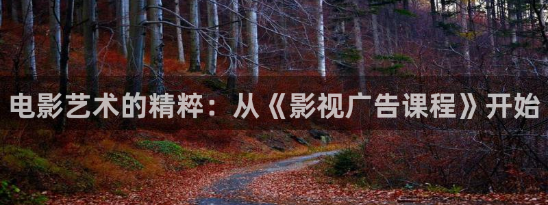 欧美秋霞理论电影：电影艺术的精粹：从《影视广告课程》开始