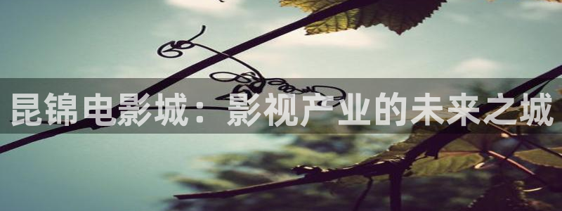 韩国理论电影2：昆锦电影城：影视产业的未来之城