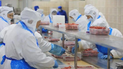 2700万元专项扶持助力我市小食品生产线升级