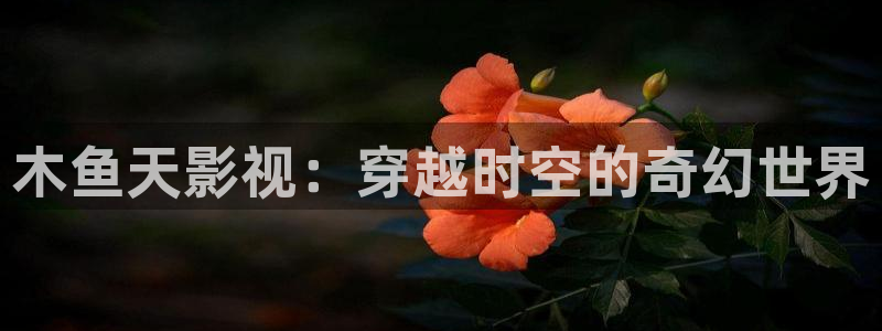 万物理论在线完整版免费观看