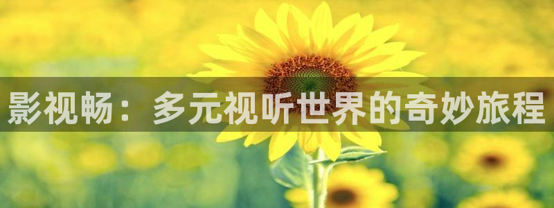 韩国在线理论电影