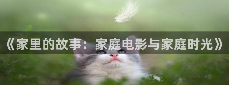 秋霞电影网院午夜理论片免费看