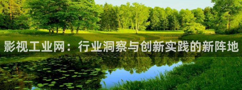 西瓜理论片在线看免费