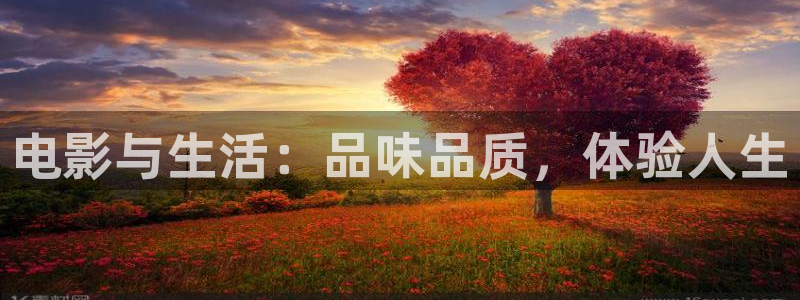 韩国电影理论高清