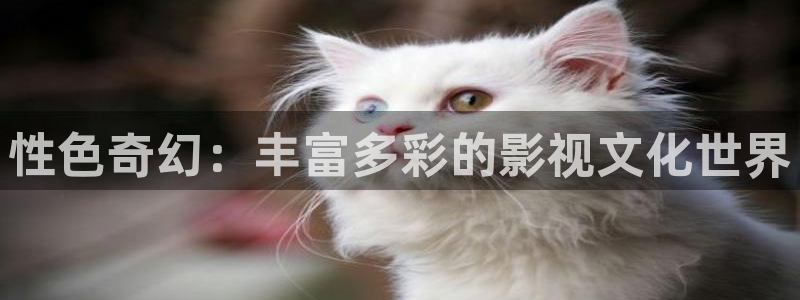 7080新视觉电影理论电视剧在线观看
